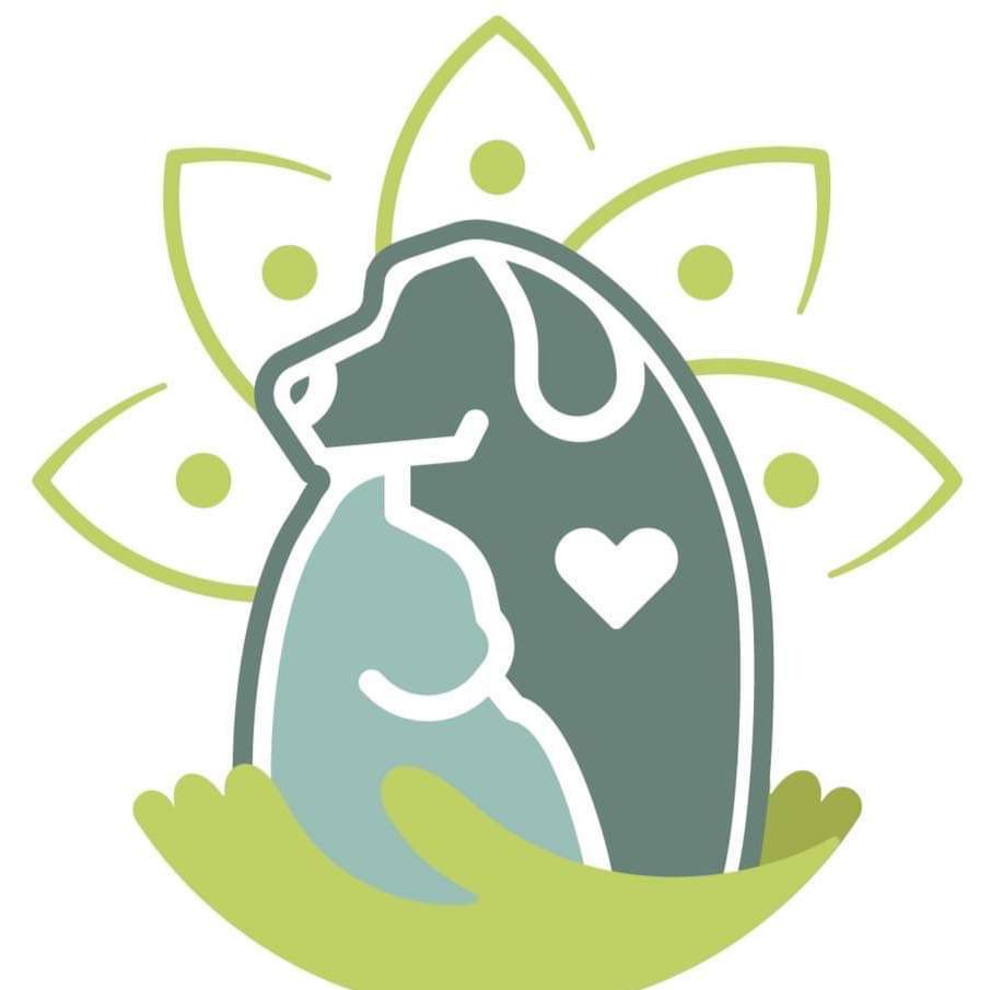 Logo Mvet Clínica Veterinária